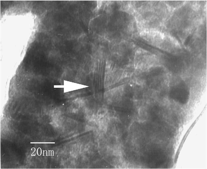 K 2 SO 4 nanowires will be a good template for its high melting point of 1362 K and being easily washed off. ZnO nanostructure was fabricated on K 2 SO 4 nanowires substrate by vapor-phase deposition.