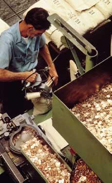 Non-fiction: Making Cents (4) Workers check the design on each coin. A machine called a coin sizer makes sure each coin is the right shape. If a coin is not perfect, it does not leave the U.S. Mint.