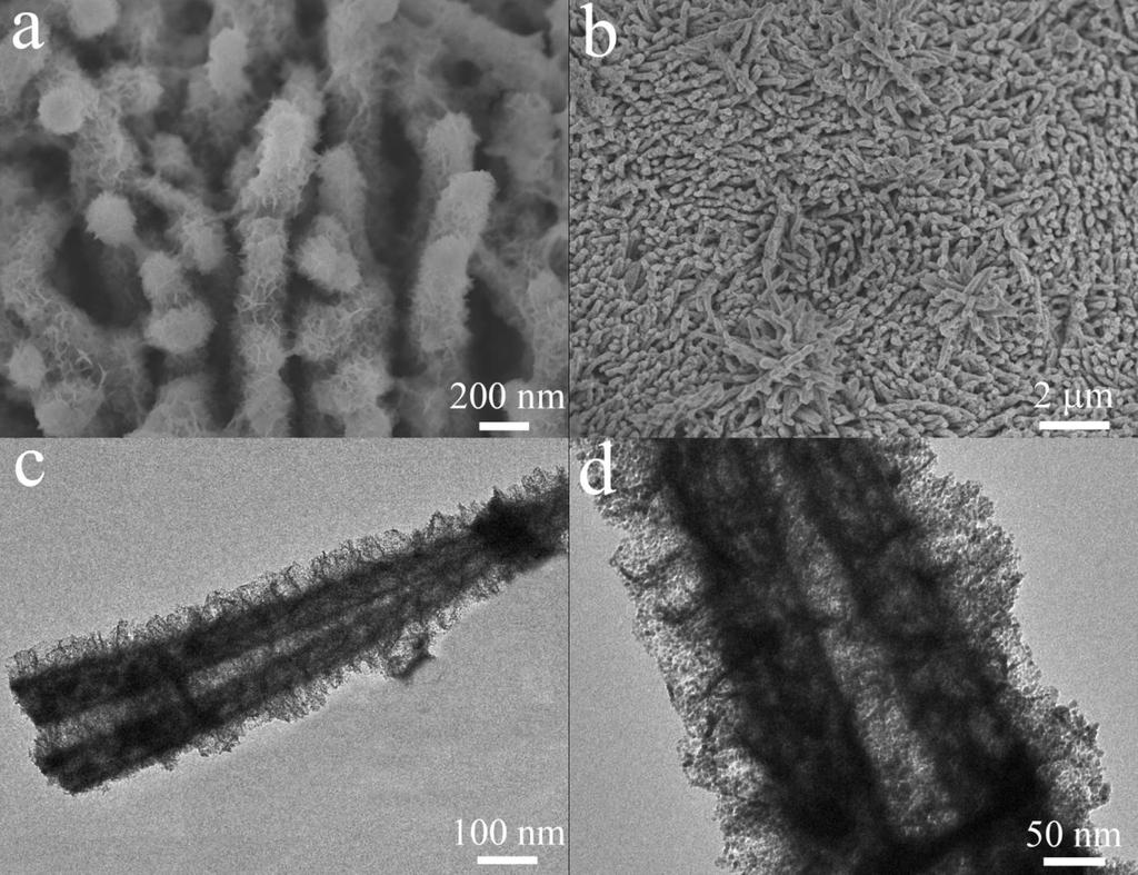 Figure S8. Morphology of the TiO 2 /NiO core-branch hollow nanowire arrays after 12,000 cycles at 2 A/g. Preparation of TiO 2 /Fe 2 O 3 core-branch hollow nanowire arrays.
