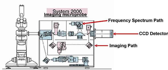 8.2 Internal Schematic Microscope Illumination Microscope Manual