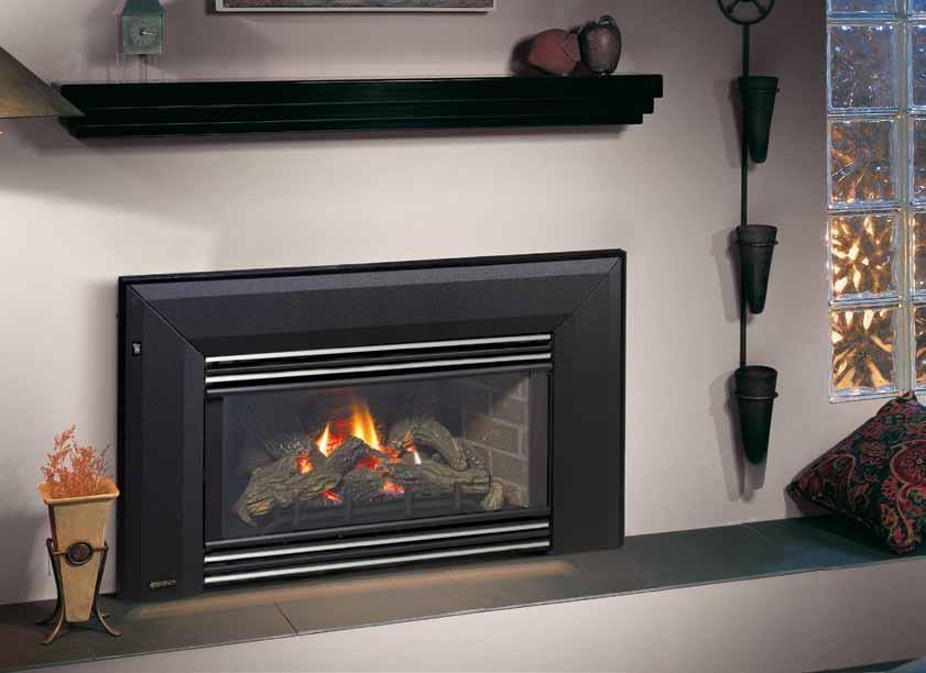 Energy Small Gas Insert E21 14 Designed to Fit Almost Anywhere If you have a smaller fireplace opening or want to heat a smaller living space, you don t have to sacrifice a beautiful fire and high