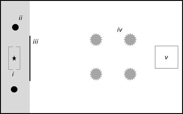 Supplementary Figure 2: The experimental arena, consisting of a feeder box (i) containing a prey patch, two green lights (ii), which fish in some trials had been trained to approach, an opaque screen