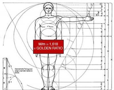 Since the proportions of the human body exhibit the same relationships seen in nature as translated to Fibonacci numbers and to the golden mean, golden
