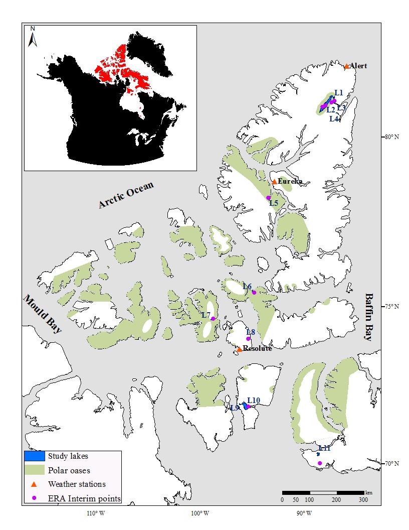 Study Area 11 lakes in the Canadian Arctic Archipelago (CAA), including Lake Hazen, world s largest lake north of the Arctic Circle Lakes are ice covered for more than 9
