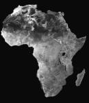 Out of Africa Timeframe Used the oldest clusters of mtdna that don t not contain