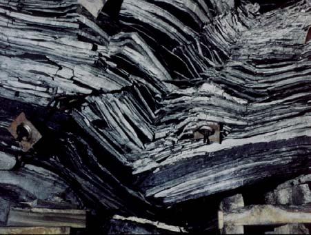 Figure 9-3 An example of roof-softening in a coal mine in the USA (courtesy of Dr. C. Mark) The average height of roof-softening is 1.