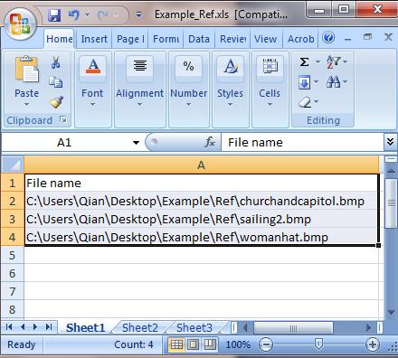 Instructions to generate an Excel file for Reference Images 1.