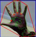 Then a bounding rectangle is placed around the detected hand region.