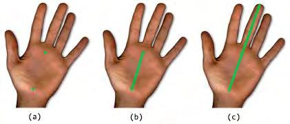 Figure 3 Hand Joints Detection and Length Calculation After calculating the distance, we detected the center by using the midpoint formula.