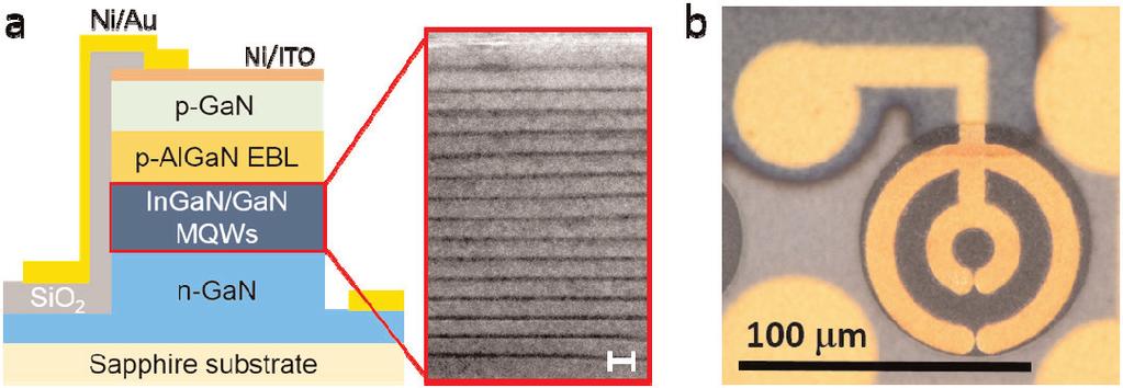 84 Technology focus: Visible light communications Figure 10. (a) Schematic of InGaN/GaN MQW μpd and transmission electron microscope image showing 15-pairs of 3nm InGaN/13.5nm GaN (scale bar 20nm).