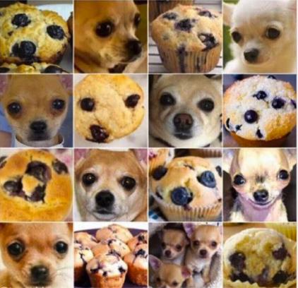 Machine Learning and Dogs Is there a dog in the picture?