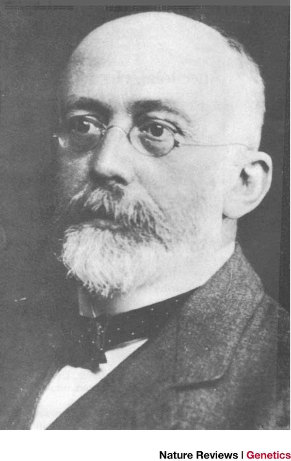 Weinberg (1862-1937)