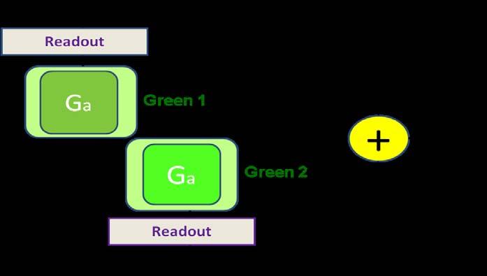 0 Advantages of the Dual Green Components System When the two separately Green videos are subsequently combined as shown in Figure 8 they produce the final green video
