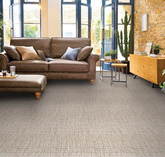 NEW BROADLOOM INTRODUCTIONS NATURE'S PATH