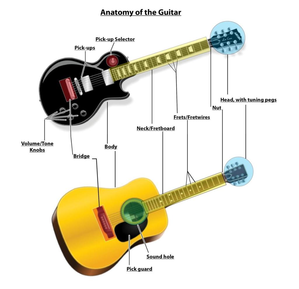 Anatomy of the Guitar As with learning anything new, it s very important to become familiar with nomenclature.