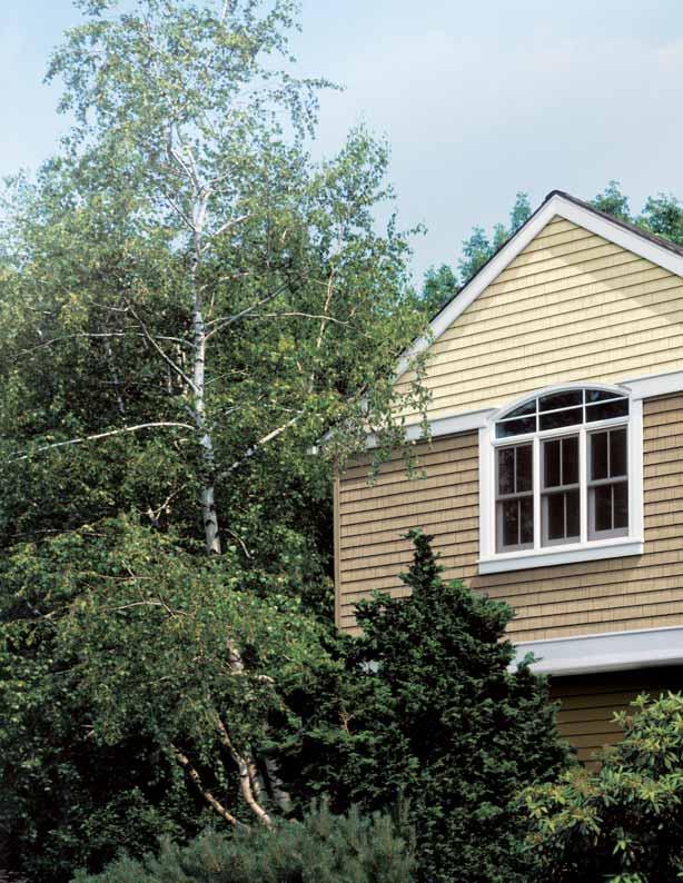 Molded from real cedar shingles, Cedar Impressions offers the most natural looking cedar shingle siding available without the expense and heavy maintenance of wood.