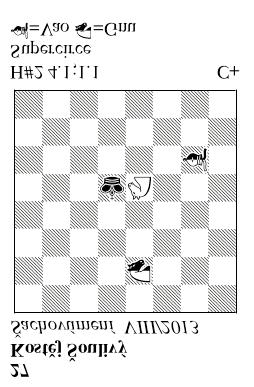 Figure 31. Excerpt from the 2013 Annual Wenig steiner Prize, with NEUTRAL BISHOP and KNIGHT ROTATED 270.