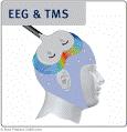 EEG/fMRI