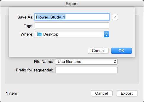 File name menu use filename should be selected then click Export h.