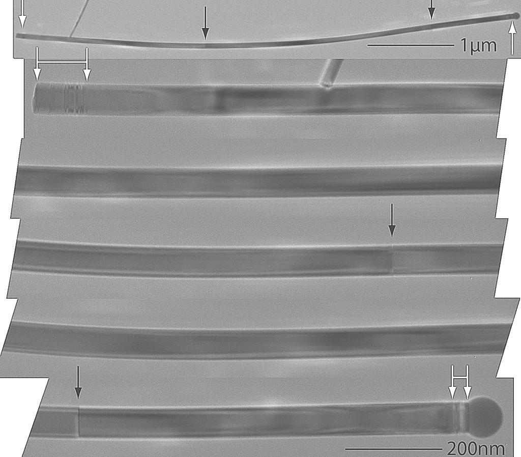 Supplementary Figures Supplementary Figure S1. TEM image showing the full nanowire from Figure 1b and higher resolution images of sections of the same wire.