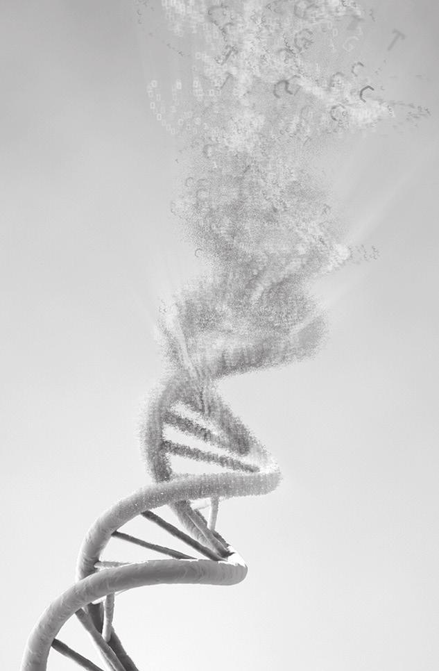 LIBRARY PREPARATION NEBNext DNA Library Prep Master Mix Set for Illumina Instruction
