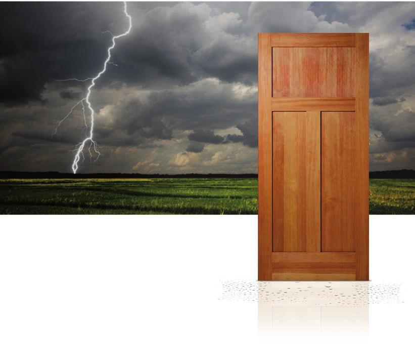 Rogue Premium Plus High performance wood doors for tough conditions, featuring a 5-Year