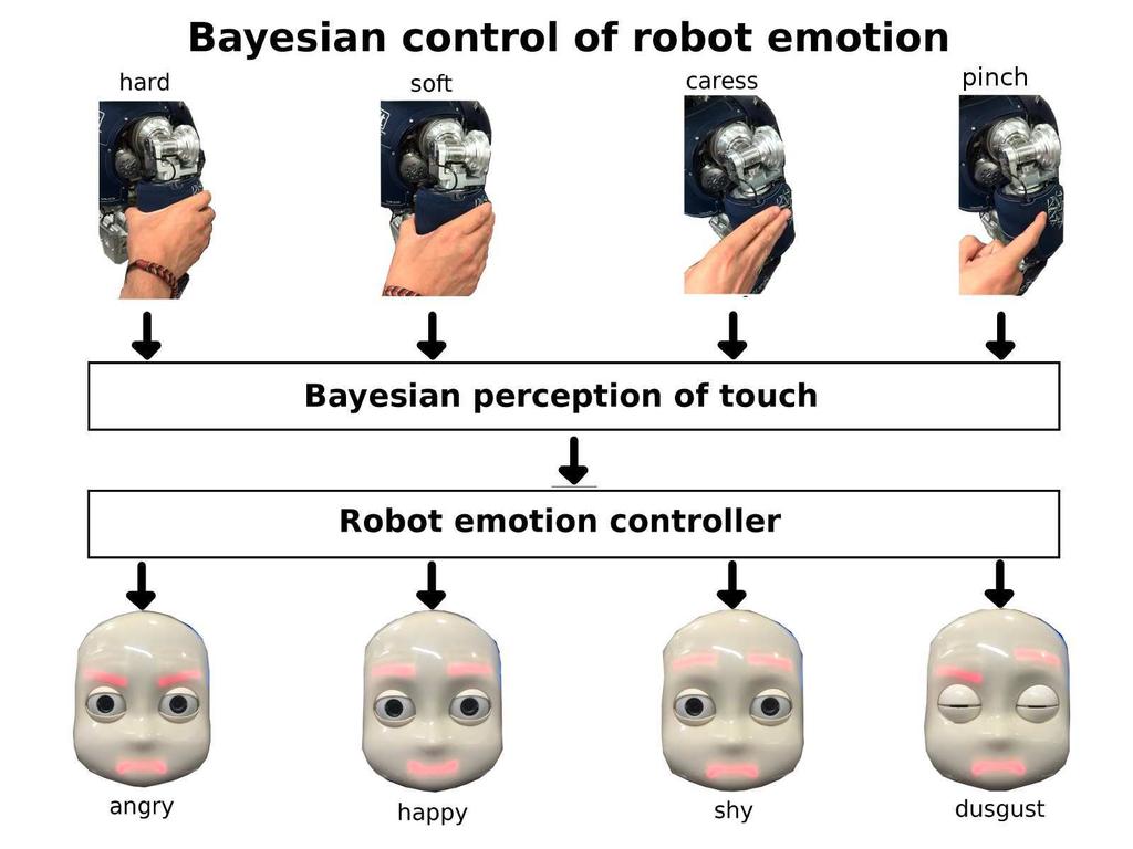 Bayesian perception of touch for control of robot emotion Uriel Martinez-Hernandez Institute of Robotics, Design and Optimisation School of Mechanical Engineering The University of Leeds Leeds, UK. u.
