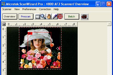 4. Apply the AF function to the image, use either of the ways below: Apply the AF function to the whole scan frame. Click the Auto Focus tool in the Toolbar.