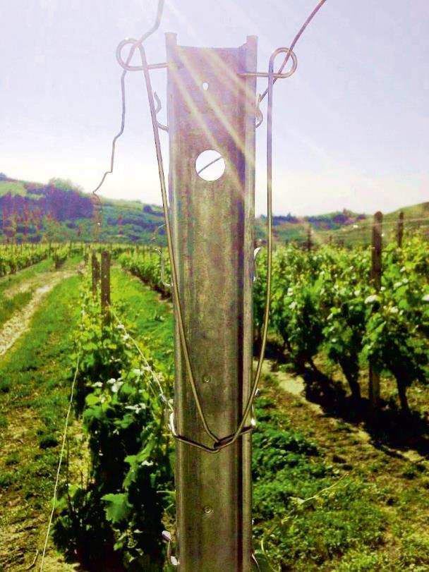 Together with its Vineyard Specialists, Accessories for Vineyards has calculated all the benefits of the springs in five years, with the following result: SPRING SPREADERS FOR METAL, CONCRETE &