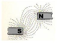 Identify which picture represents a particular kind of magnet. (a), (b). 5. The location of the strongest magnetic forces is the. a. electromagnets c. magnetic fields b. magnetic domains d.