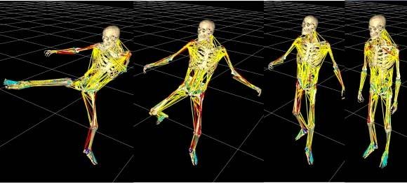 My current research 1)Modeling the human body To model: モデル化する Human body: 人体 Biology: 生物学 Diagnosis: 診断 Malfunction: 機能不全 We use physics, biology, and computer algorithms to model the