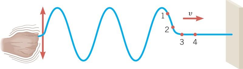 16.2 Periodic Waves Example 1 The Wavelengths of Radio Waves AM and FM radio waves are transverse waves consisting of electric and magnetic field disturbances traveling at a speed of 3.00x10 8 m/s.