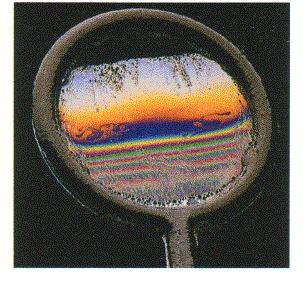 Colors from interference The colors seen in a bubble, wet gasoline spill, or film on a pavement result from white light hitting the top and bottom surfaces and