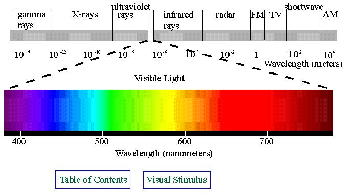 Wavelengths of visible