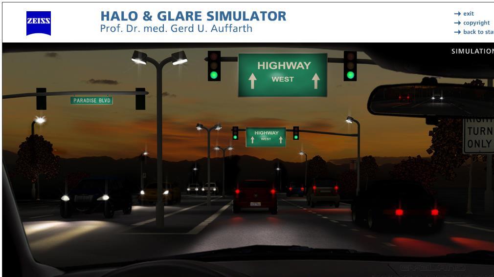 Halo & Glare Simulator* Screenshot of patient s exam