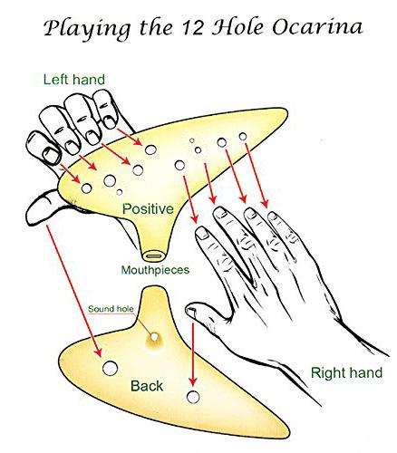 The Anatomy of the Ocarina PLAYING THE 12 HOLE