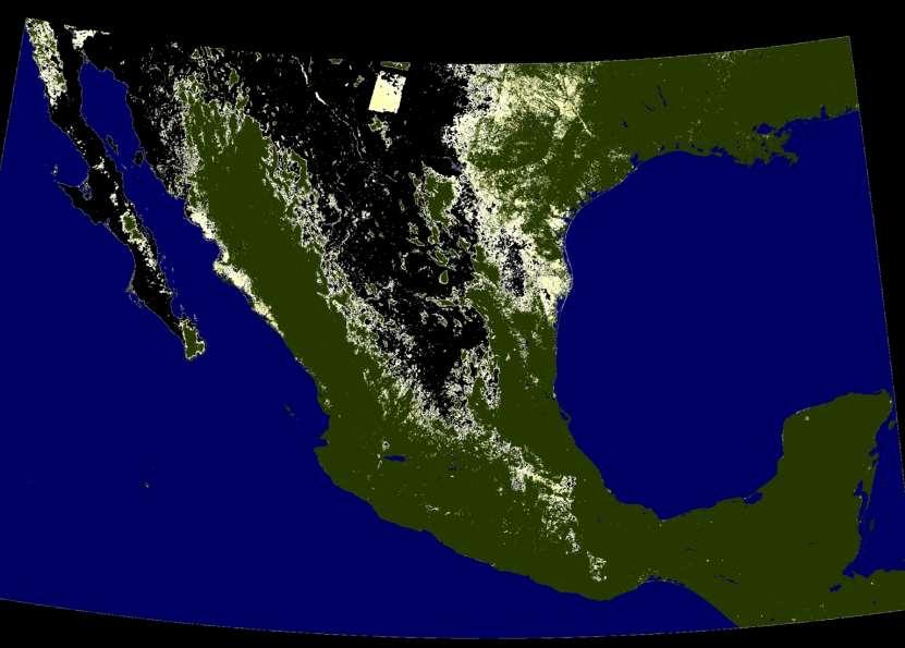 Mexico Canopy Density
