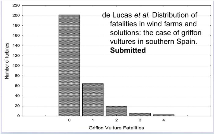 Example from Spain (MUNOZ et al. 2011) 1. There are very significant differences in mortality rates of adjacent wind farms, with the fatalities concentrated in few turbines. 2. There is an urgent need to improve assessment tools to a priori identify those locations where the risk of collision is high.