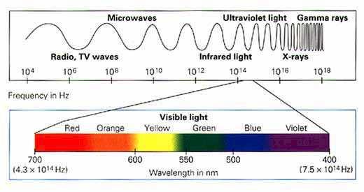 can travel through a vacuum. D. cannot travel through the vacuum of outer space. 3) The main difference(s) between a radio wave and a light wave is(are) its.