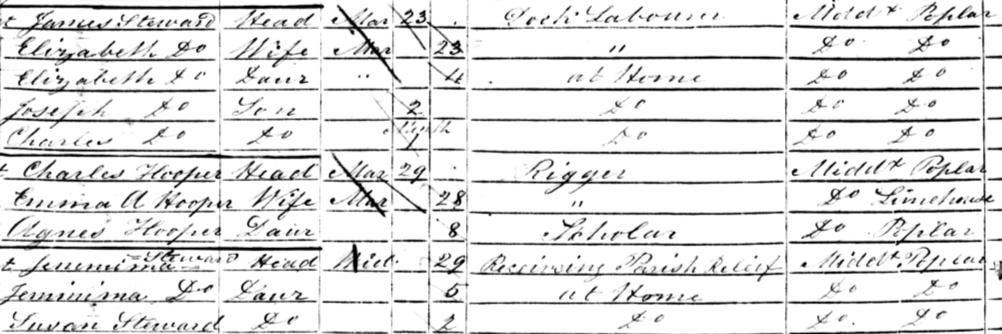 Joseph and Elizabeth Steward s 1851 Census Record 1851 Census Notes An attempt has been made to reproduce all data exactly as it is on the original census record; some column heading wording changes
