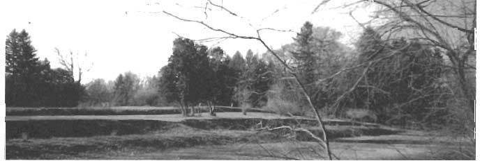 The historic photo (Figure 1) was taken by an unknown photographer positioned to the southeast of the Greenhouse Complex.