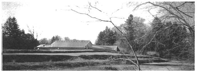 Figure 4. Composite photograph shows former Mills Mansion Greenhouse Complex superimposed on present-day landscape. (Photograph by Mary Bums.