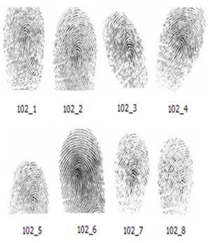 3.1. Impressions vs. Impressions In this section, we study the fingerprint impressions from the following three databases: DB1_B from FVC22 [18], DB1_B from FVC 24 [19], and CASIAv5 [2].