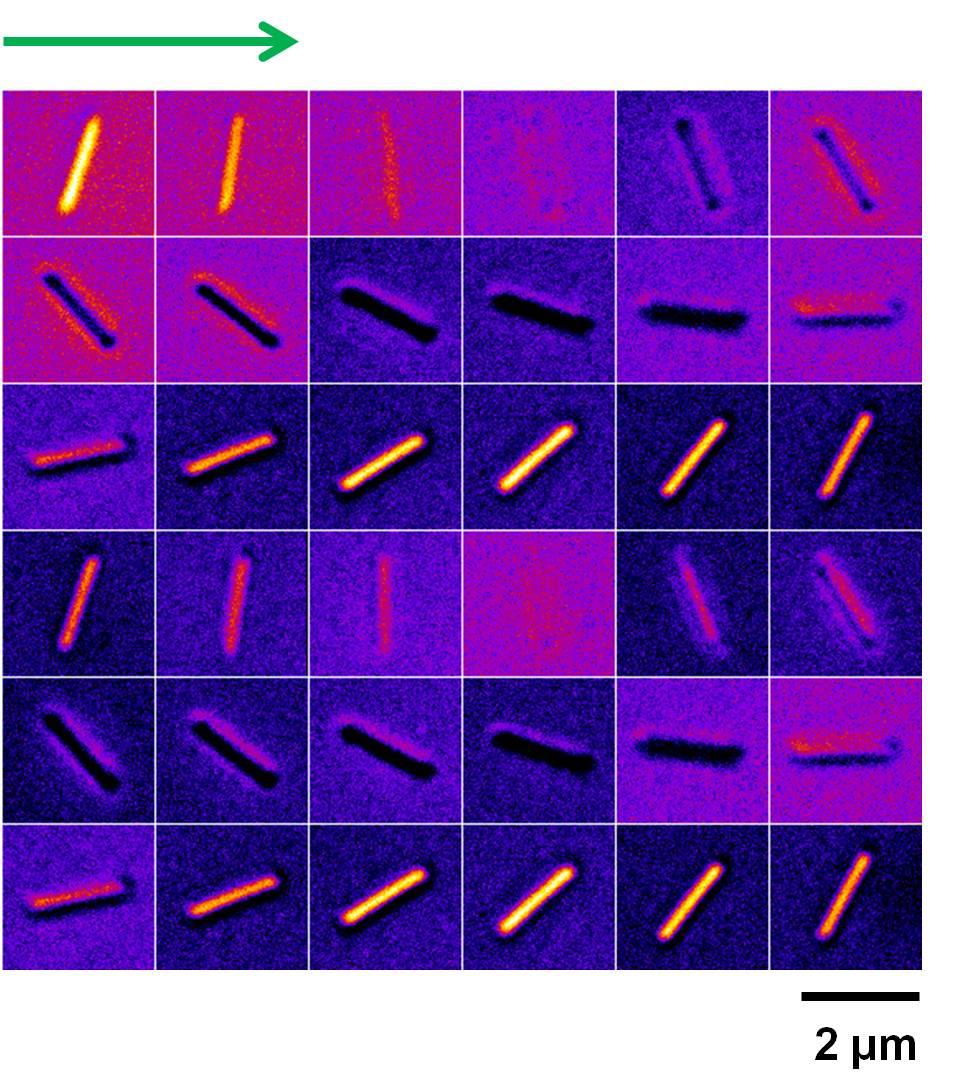 Fig. S7. A complete set of DIC images of the highlighted Au nanowire 2 in Fig. 2 at the excitation wavelength of 640 nm.