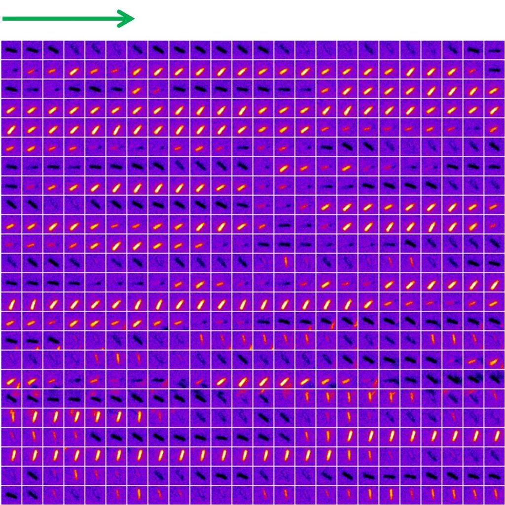 Fig. S13. DIC images of the highlighted Au nanowire 4 in Fig. S10A as a function of time.