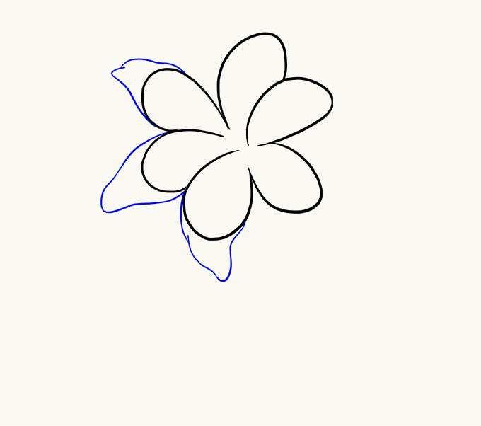 Using two curved lines in and "M" shape, draw two more open ovals, closing the gap between the first and the fourth. The resulting shape will resemble an irregular flower.