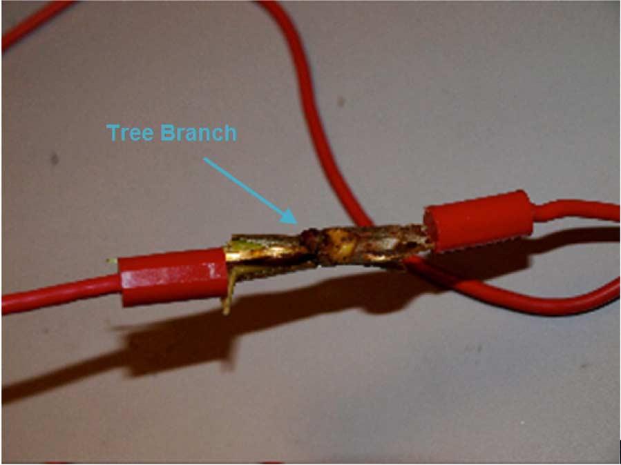 The tree branch is cut off from a live tree and its length is limited to 10 cm to lower the impedance. However, its resistance still reaches 16 k, even though it is wet. Fig.