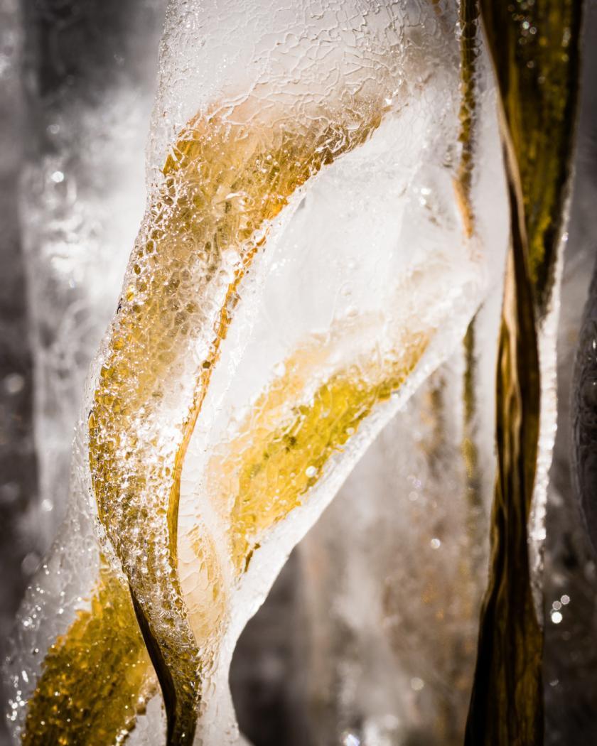 Macro used as a prime lens. Northern sea oats completely ensconced in ice dripping from eaves above.