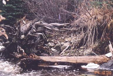 Photo 3: Rebman Creek Site 2: left