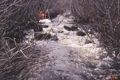 Photo 8: Rebman Creek Site 4: view upstream